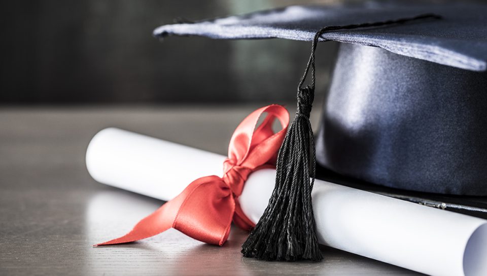 bachelor degree